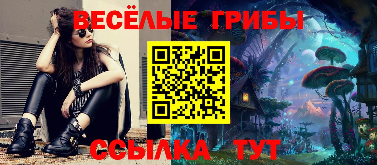 Псилоцибиновые грибы Magic Shrooms Пятигорск