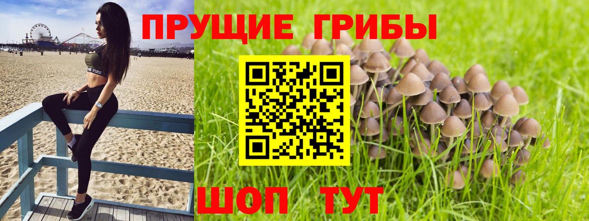 Галлюциногенные грибы MAGIC MUSHROOMS  Вход с VPN  Пятигорск 